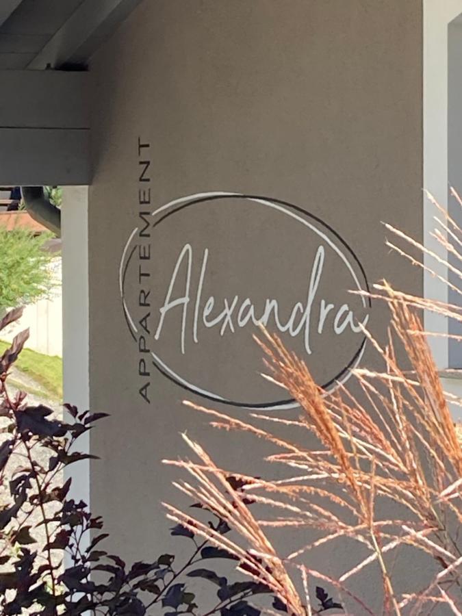 Appartement Alexandra Neukirchen am Großvenediger المظهر الخارجي الصورة